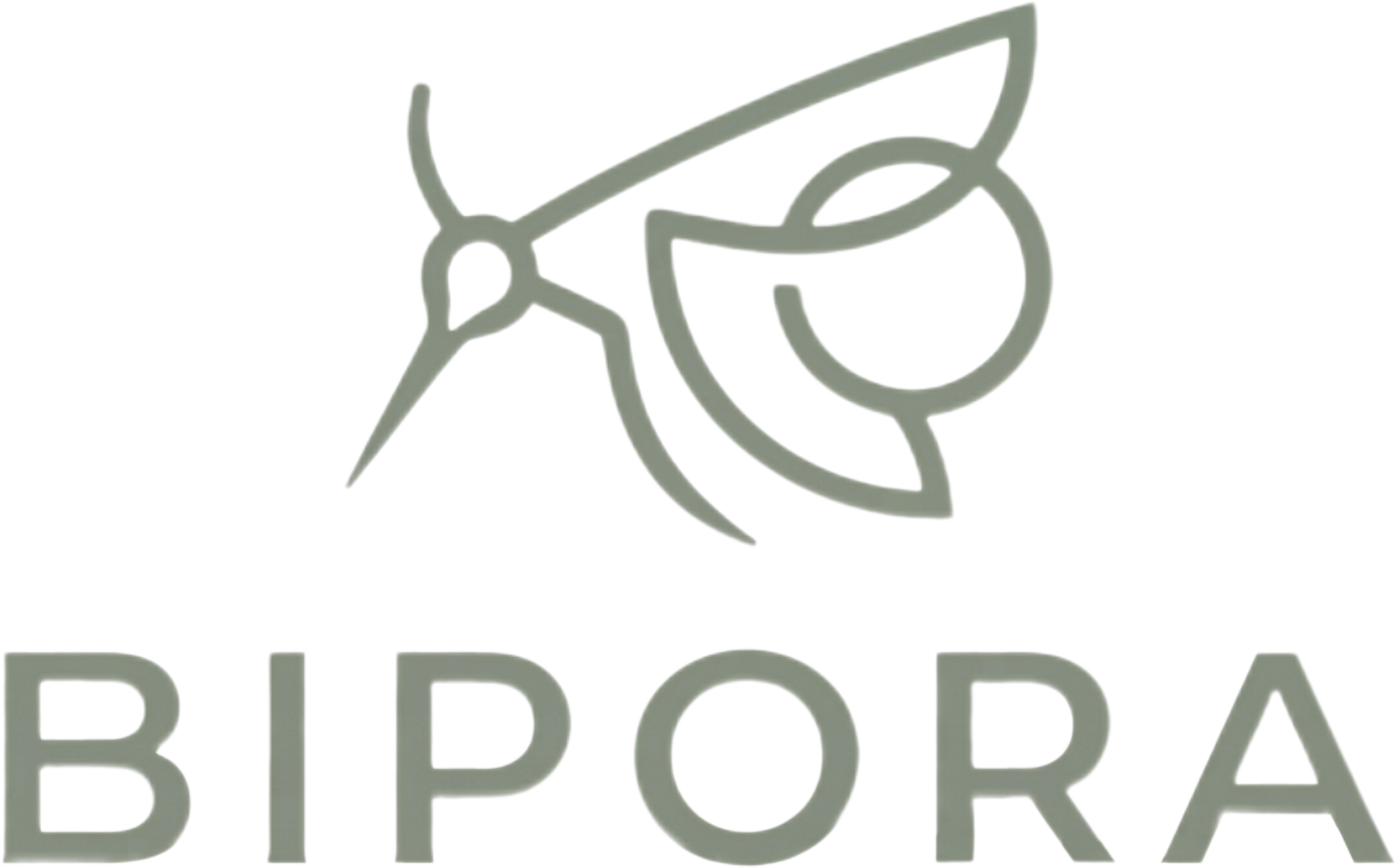 Bipora